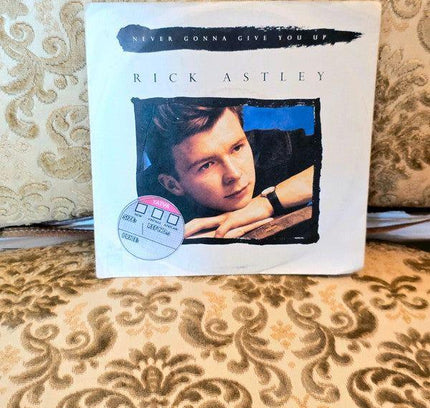 Rick Astley – Never Gonna Give You Up Vinyl Record - Yatva