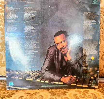 Roy Ayers – In The Dark Vinyl Record - Yatva