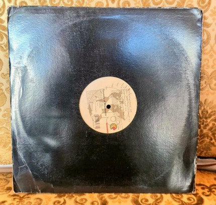 Sounds Of Blackness – Spirit Vinyl Record - Yatva