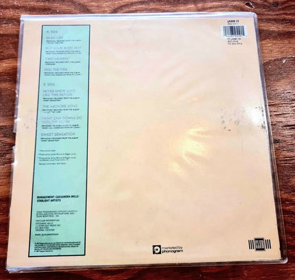 Stephanie Mills – In My Life - Greatest Hits - Vinyl Record - Yatva