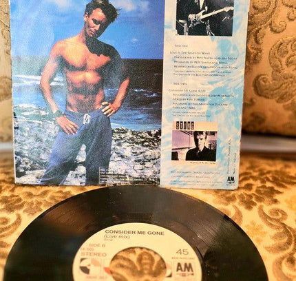 Sting – Love Is The Seventh Wave (New Mix) Vinyl Record - Yatva