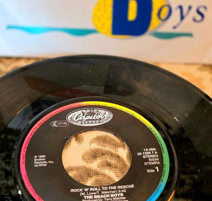 The Beach Boys – Rock 'N' Roll To The Rescue Vinyl Record - Yatva