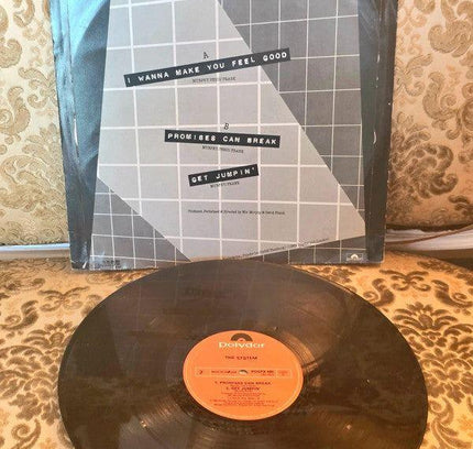 The System – I Wanna Make You Feel Good Vinyl Record - Yatva