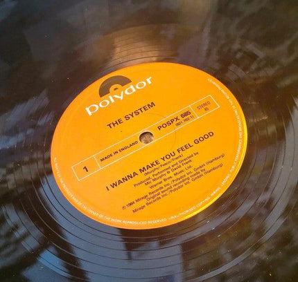 The System – I Wanna Make You Feel Good Vinyl Record - Yatva