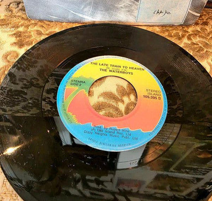 The Waterboys – A Girl Called Johnny Vinyl Record - Yatva