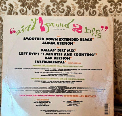 TLC – Ain't 2 Proud 2 Beg Vinyl Record - Yatva