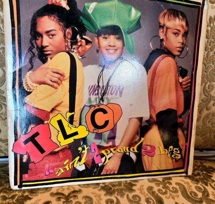 TLC – Ain't 2 Proud 2 Beg Vinyl Record - Yatva