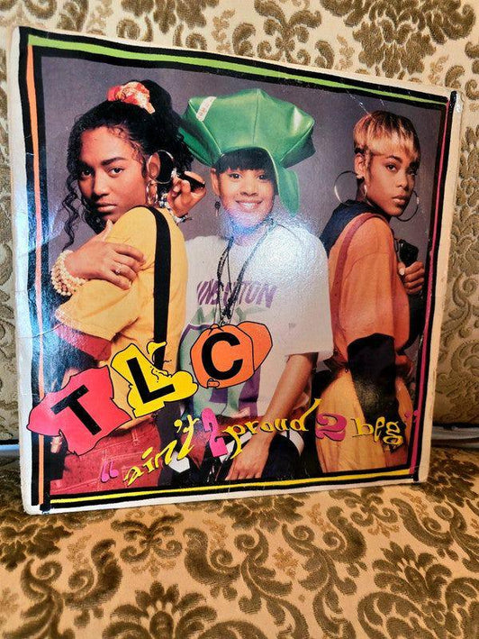 TLC – Ain't 2 Proud 2 Beg Vinyl Record - Yatva