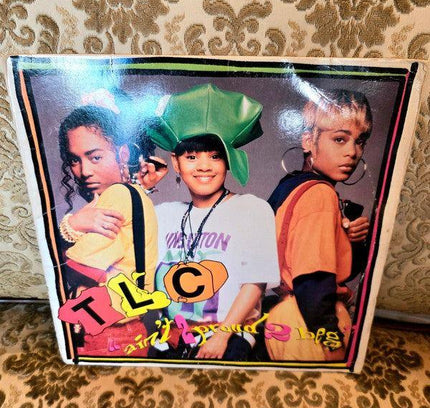 TLC – Ain't 2 Proud 2 Beg Vinyl Record - Yatva