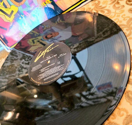 TLC – Ain't 2 Proud 2 Beg Vinyl Record - Yatva