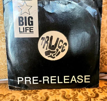 Truce – Celebration Of Life Vinyl Record - Yatva