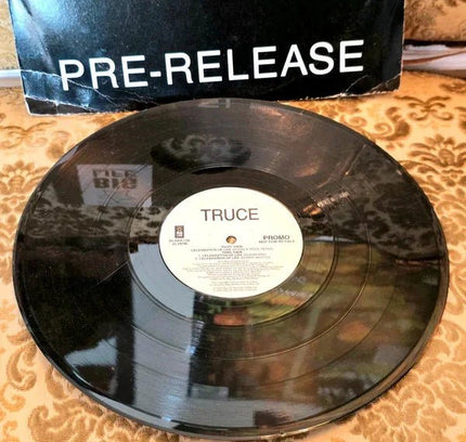 Truce – Celebration Of Life Vinyl Record - Yatva