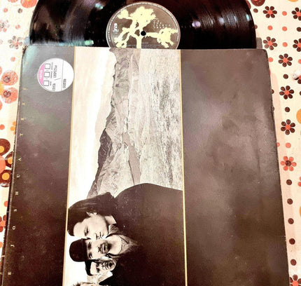 U2 – The Joshua Tree Vinyl Record - Yatva