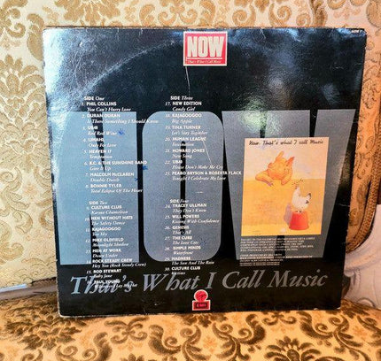 Various – Now That's What I Call Music Vinyl Record - Yatva