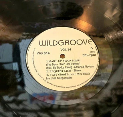 Various – Wildgroove Vol. 14 Vinyl Record - Yatva