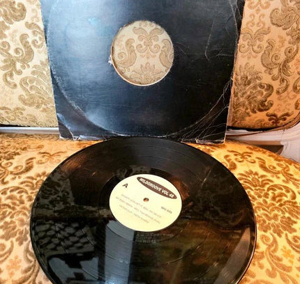 Various – Wildgroove Vol 48 Vinyl Record - Yatva