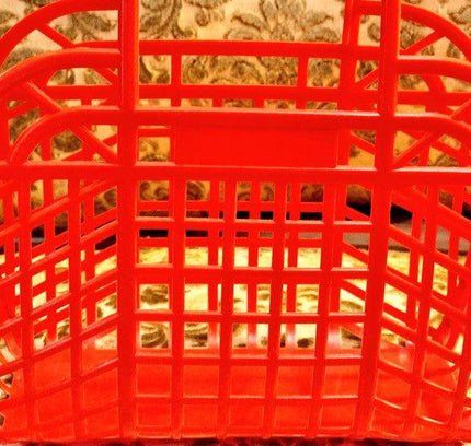 Vintage 70's Basket - Yatva