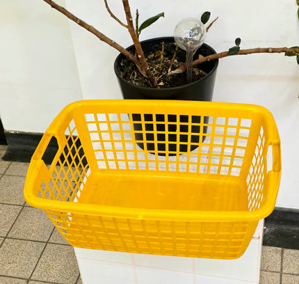 Vintage 70s Curver Yellow Grid Storage Basket (c. 1970s) - Yatva