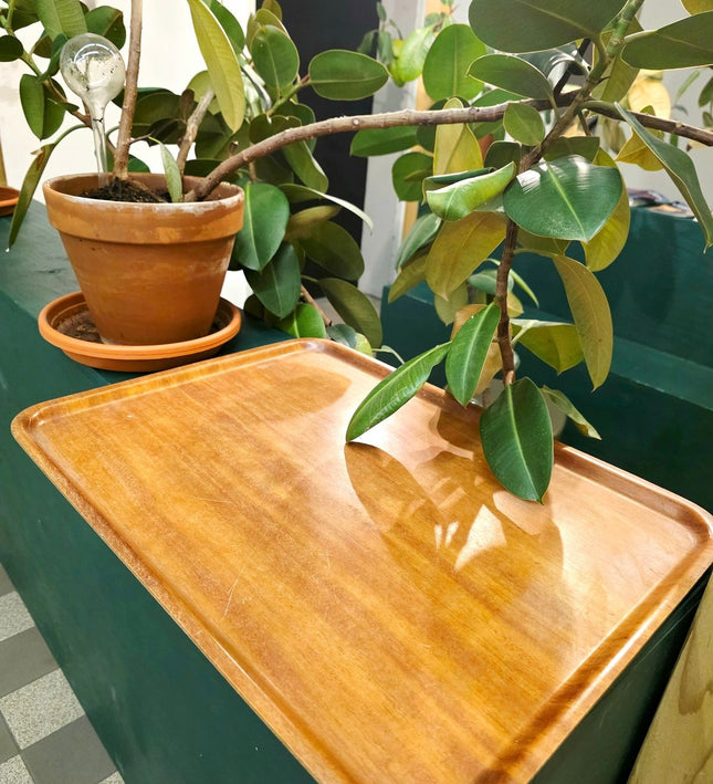 Vintage Mid - Century Modern Teak Bentwood Serving Tray - Yatva