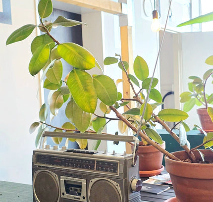 Vintage Philips D8418 Spatial Stereo Boombox | 1980s Radio Cassette Player - Yatva