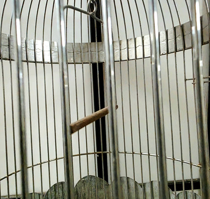 Vintage Round Decorative Birdcage - Yatva