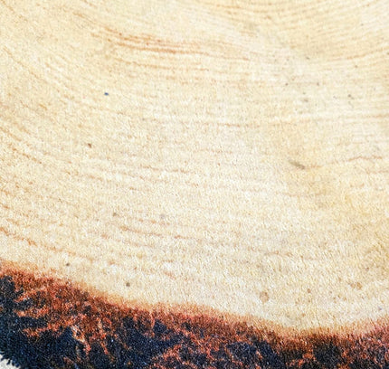 Woody Wood Tree Slice Area Rug by YLdesign (185cm) - Yatva