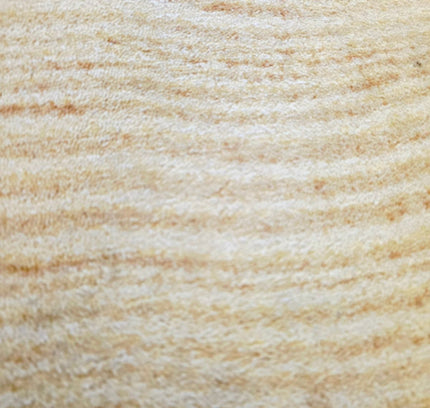 Woody Wood Tree Slice Area Rug by YLdesign (185cm) - Yatva