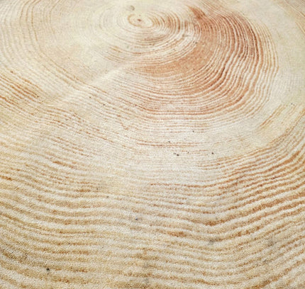 Woody Wood Tree Slice Area Rug by YLdesign (185cm) - Yatva
