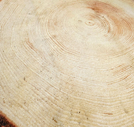 Woody Wood Tree Slice Area Rug by YLdesign (185cm) - Yatva