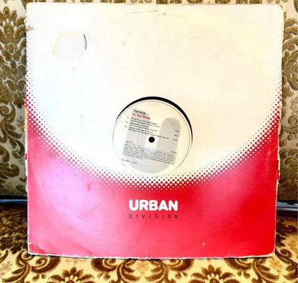 Wyclef Jean – Perfect Gentleman Vinyl Record - Yatva
